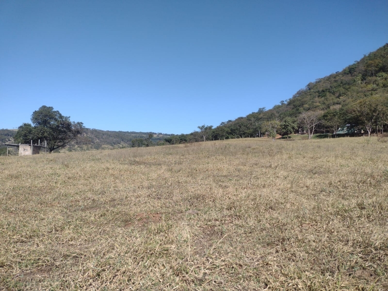 Comprar sitio fazenda gordura em rifaina