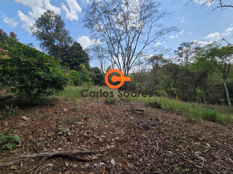Foto imóvel 365960