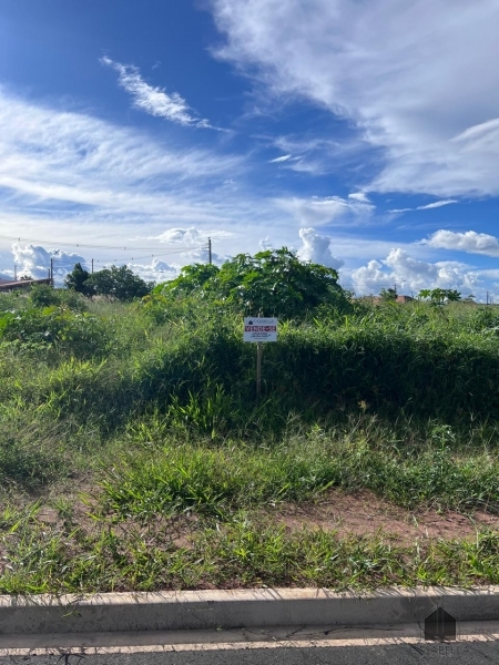 VENDE - TERRENO